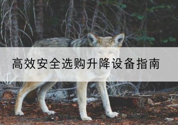 雁峰升降货梯厂家推荐-*安全选购升降设备指南