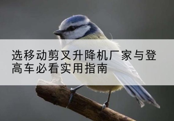 雁峰电动升降机厂家-选移动剪叉升降机厂家与登高车必看实用指南