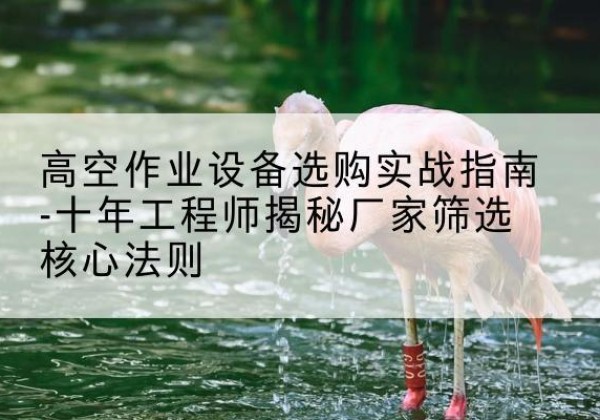 雁峰剪叉式升降机厂家-高空作业设备选购实战指南-十年工程师揭秘厂家筛选核心法则